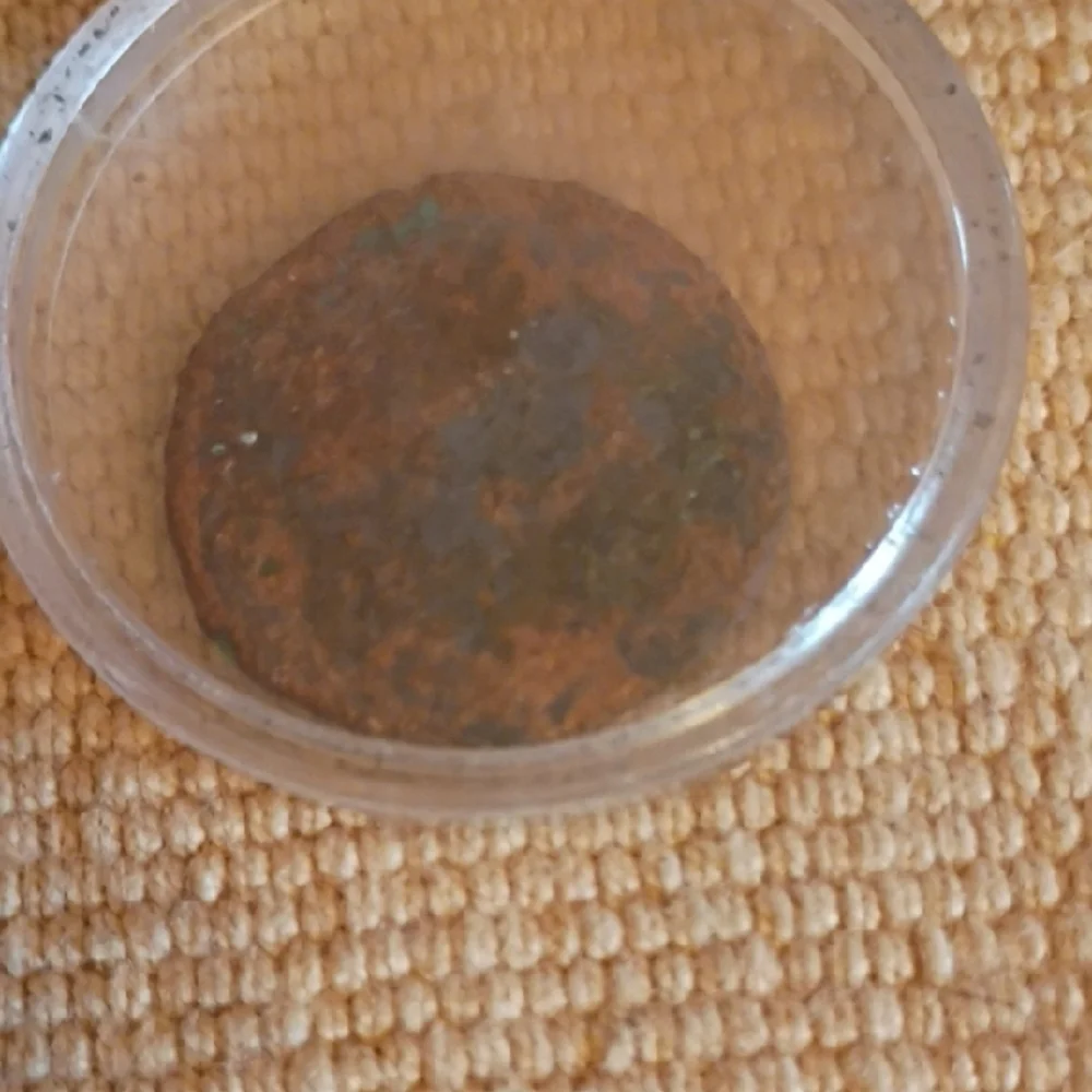 Antique Julius Caesar COPPER Coin circa 100-44BCE